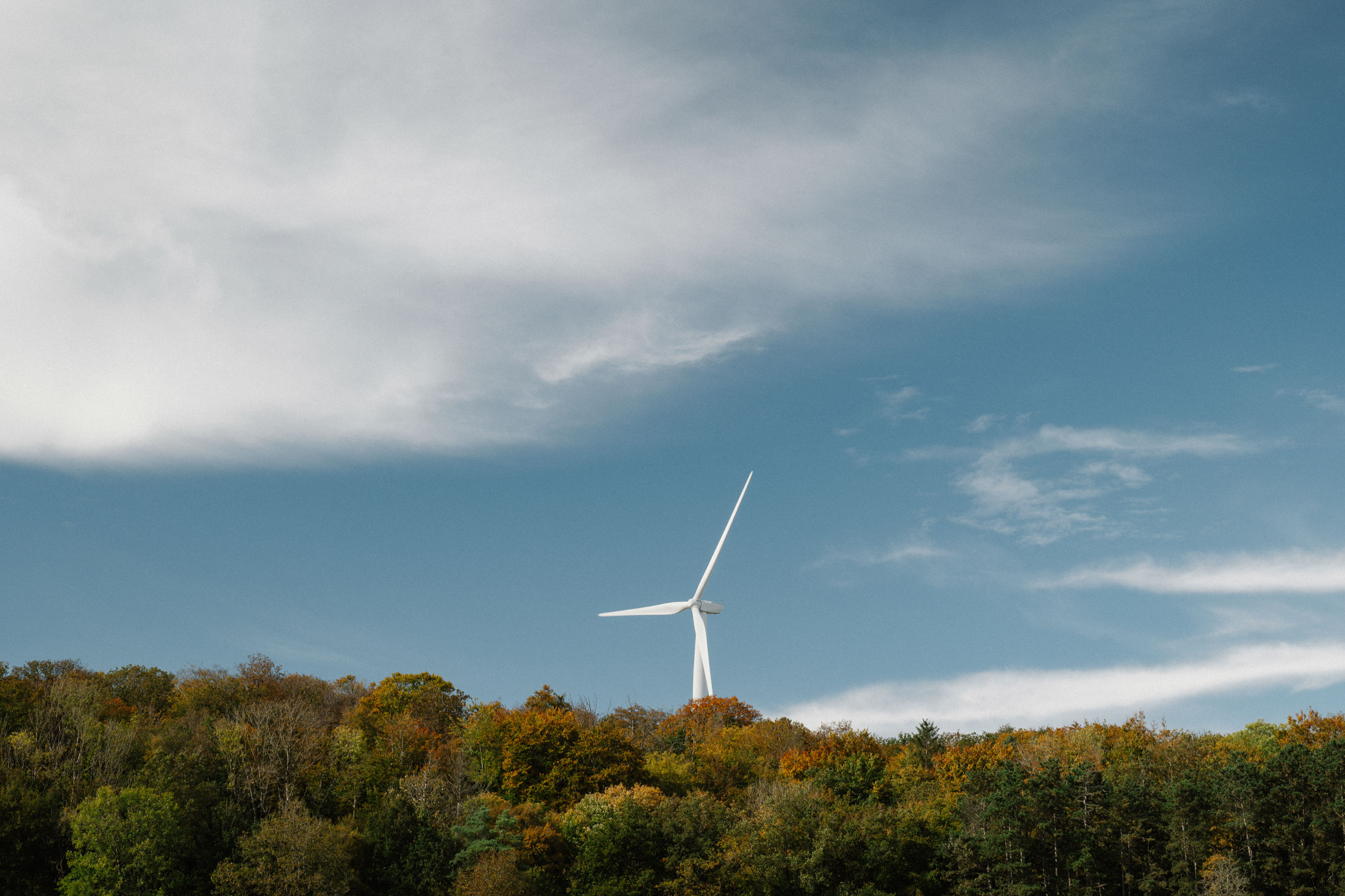 Eolienne sur forêt